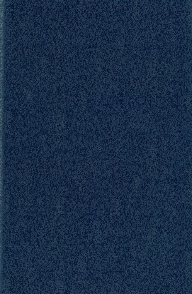 simil blu scuro 21067